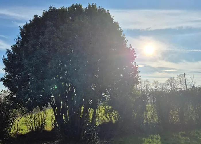 Le Longbeach 1 Casa vacanze